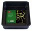 ambassador-premium-seed-tray