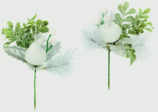 premier-white-apple--pear-pick