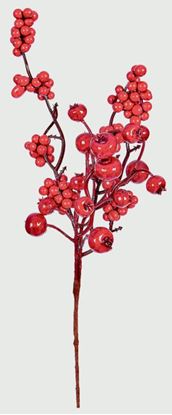 premier-red-berry-picks