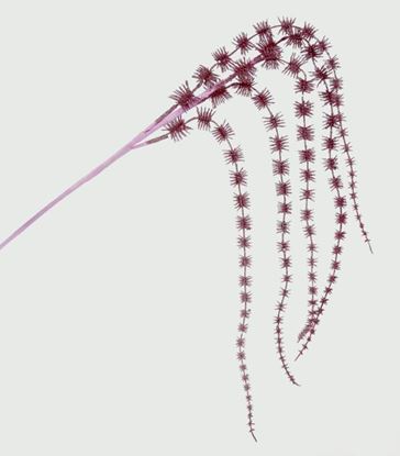 premier-glitter-hanging-spray