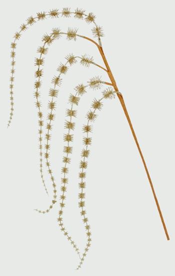 premier-glitter-hanging-spray