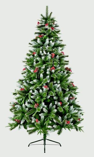 premier-new-jersey-spruce