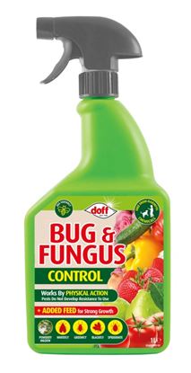 doff-bug--fungus-control