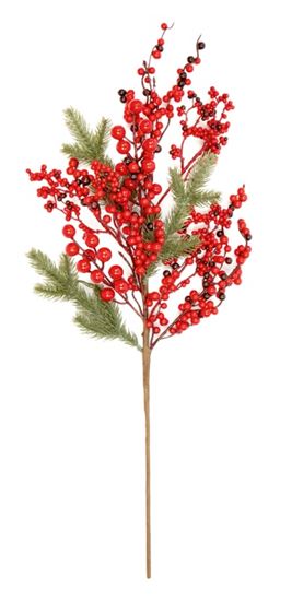 premier-red-berry-pick