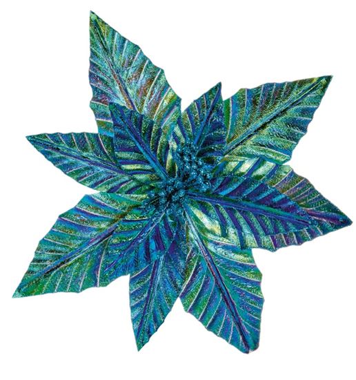 premier-iridescent-poinsettia