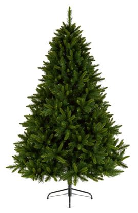 premier-king-pine-tree