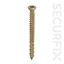 securfix-concrete-frame-screw
