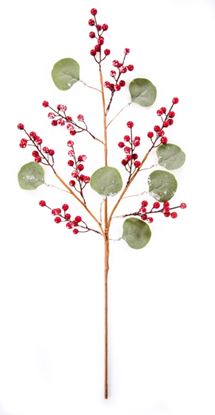 premier-red-berry-spray-snow-finish