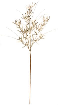 premier-gold-glitter-multi-head-spray