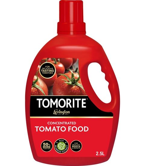 levington-tomorite-concentrate