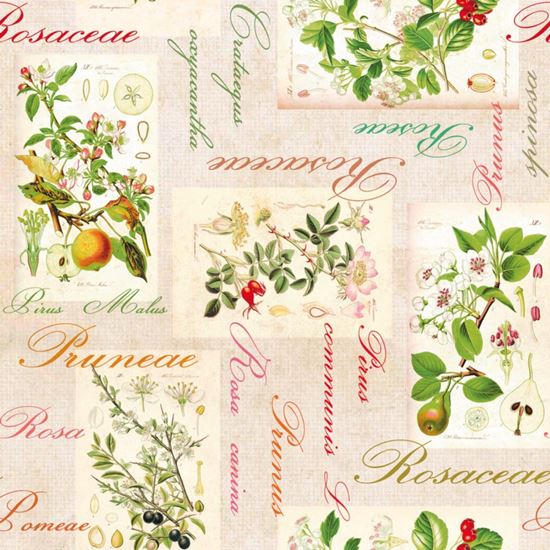 d-c-fix-manhattan-tablecloth---rosalie