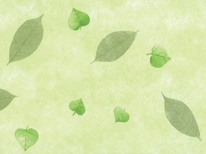 d-c-fix-manhattan-tablecloth---nancy-green