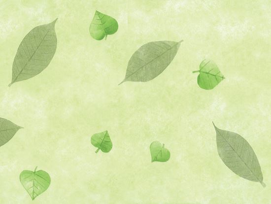 d-c-fix-manhattan-tablecloth---nancy-green