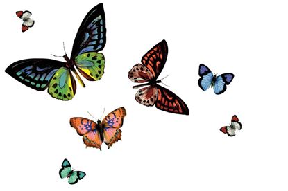 d-c-fix-rio-placemat---butterfly-transparent