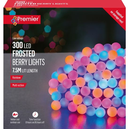 premier-frosted-berry-lights