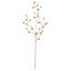 premier-champagne-gold-mini-cone-stem