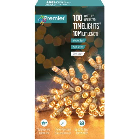 premier-100-led-multi-action-battery-operated-timelights