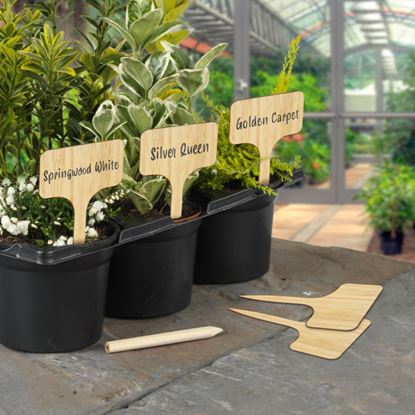 ambassador-bamboo-t-labels--pencil-10-piece