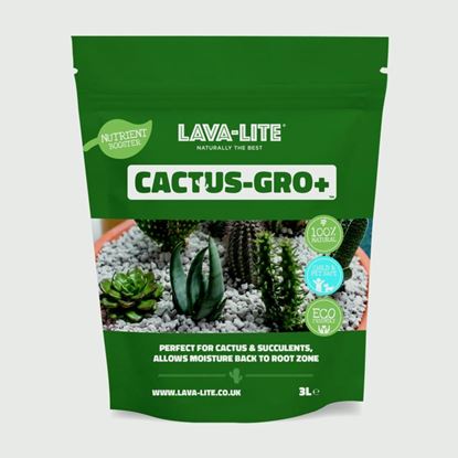 lava-lite-cactus---gro