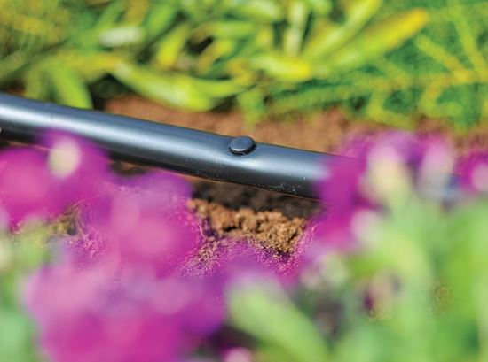 hozelock-blanking-plug