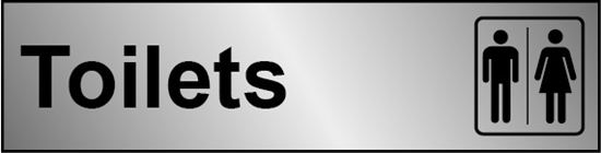 securit-metal-effect-toilet