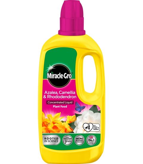 miracle-gro-ericaceous-liquid-plant-food