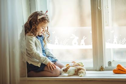 d-c-fix-static-cling-window-border---rabbits