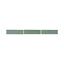 premier-pale-green-ribbon