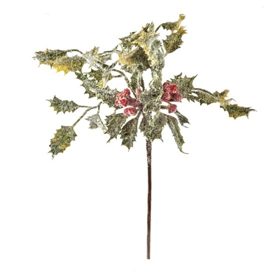 premier-holly-berry-pick