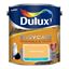 dulux-easycare-washable--tough-matt-25l