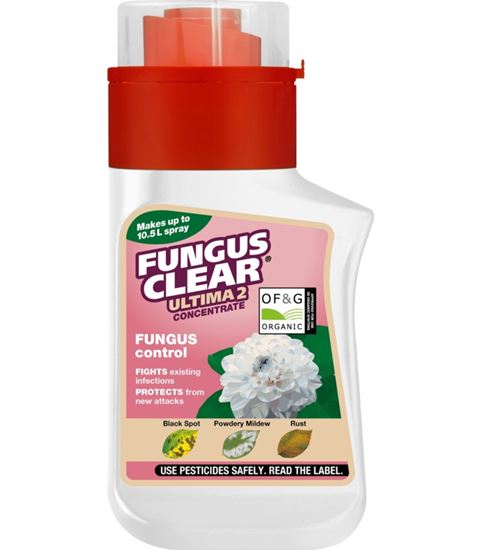 fungusclear-ultimate-concentrate