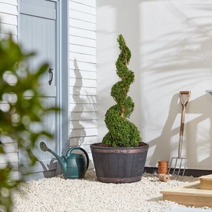 strata-extra-large-oakwood-barrel-planter