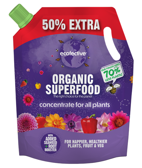 ecofective-all-plants-organic-superfood