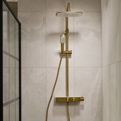 triton-push-button-thermostatic-mixer-shower