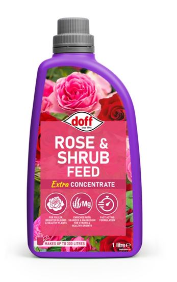 doff-rose--shrub-feed