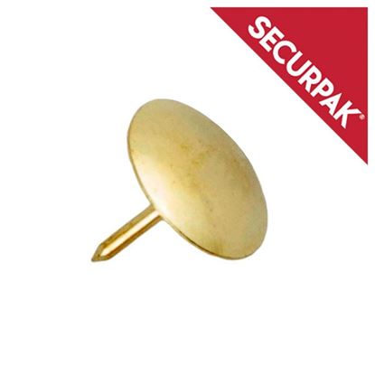 securpak-drawing-pins-eb