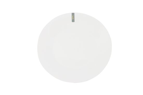 basiks-white-porcelain-dinner-plate