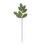 premier-sage-velvet-magnolia-leaf