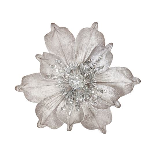 premier-silver-velvet-magnolia