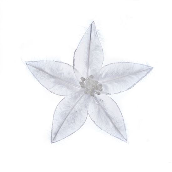 premier-white-sheer-poinsettia