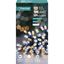premier-100-led-multi-action-battery-operated-timelights