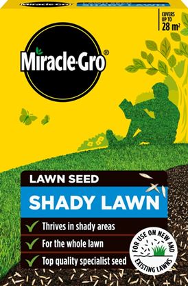 miracle-gro-shady-lawn-seed