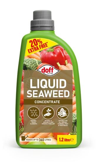 doff-liquid-seaweed-concentrate
