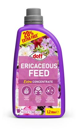 doff-azalea-camillia--rhodedendron-feed-concentrate