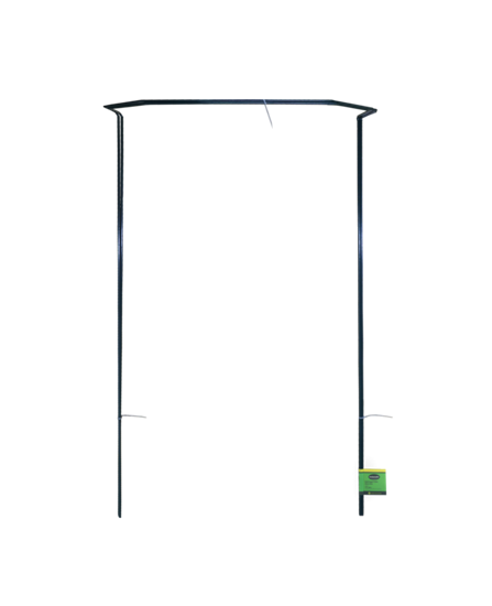 ambassador-garden-support-stakes-pack-2