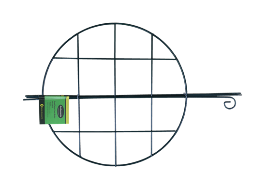 ambassador-round-support-frames-medium