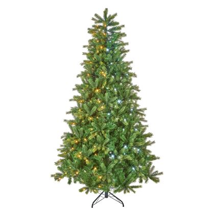 premier-pre-lit-bw-spruce-320-switch-led