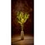 premier-set-of-3-mistletoe-twigs-90-warm-white-led