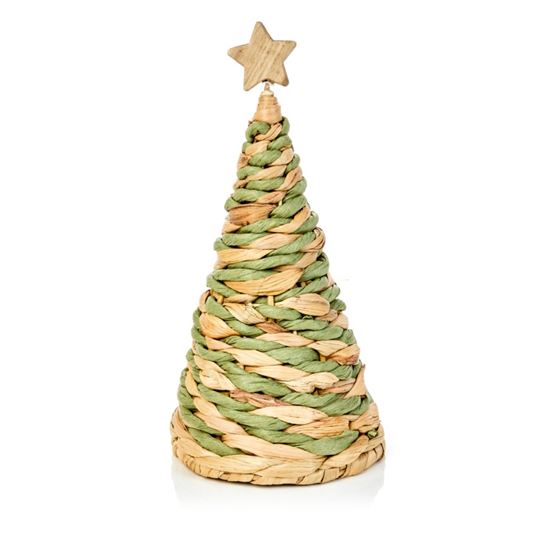 premier-reed-grass-table-top-tree-with-green-stripe