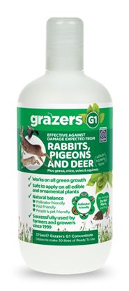 grazers-g1-rabbits-pigeons--deer